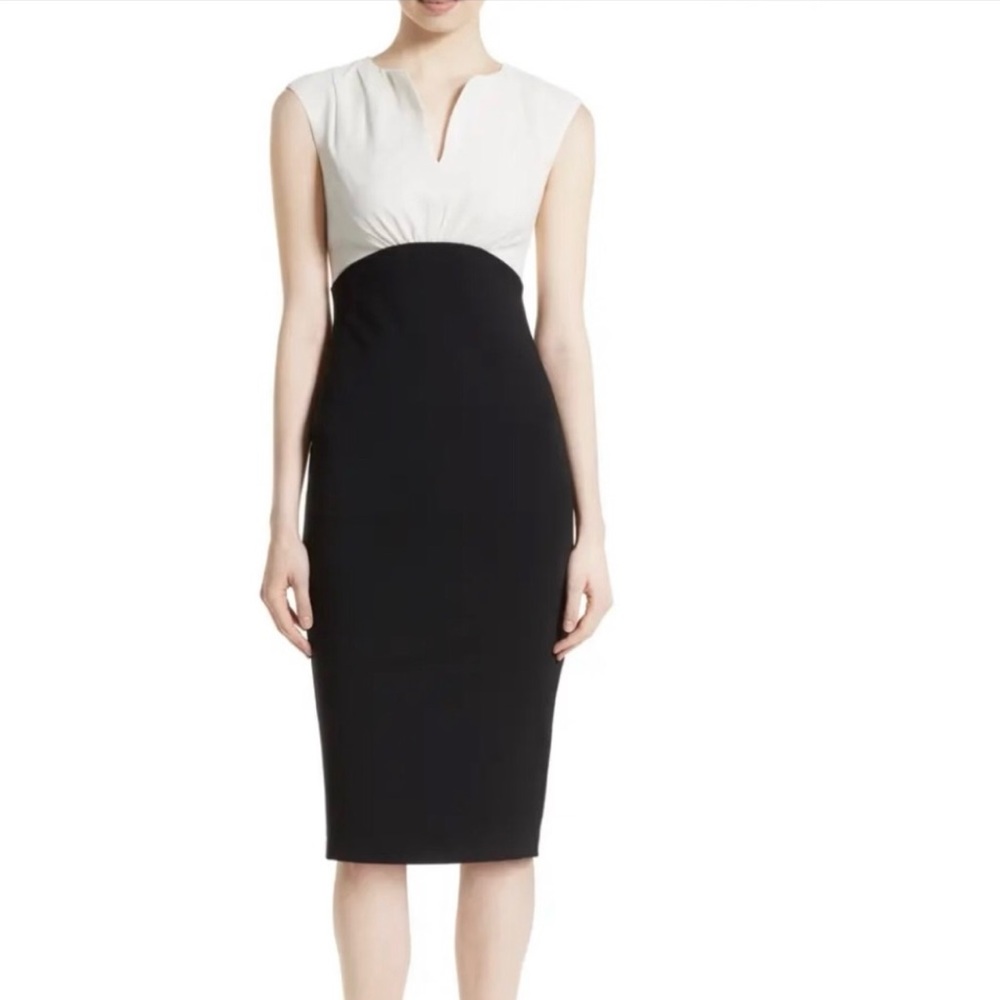 Ted Baker ADEBA Dress, brand new with tags!